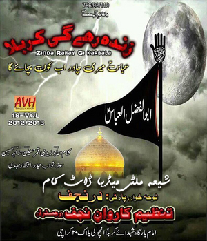 Dar e Najaf 2013 - www.ShiaMultimedia.com