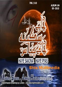 Ghamkharan-e-Sakina (S.A) 2010 - Shia Multimedia