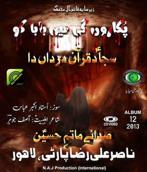 Nasir Ali Raza Party 2013 - www.ShiaMultimedia.com